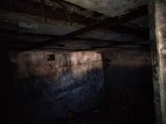 Wellington Square Cellar possible Air Raid Shelter Interior